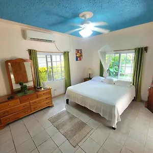 Guest house Green's Palace Jamaica, Oracabessa